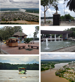 From top, left to right: Panoramic view of the city, monument to Francisco de Orellana, Puerto Francisco de Orellana Boardwalk, Child's Park, canoe down the Napo River and Napo River Bridge.