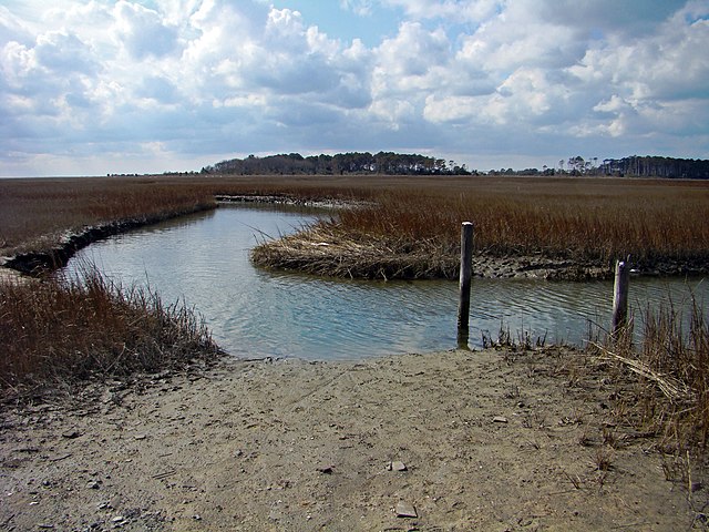 File:Eastern_Shore_of_Virginia_National_Wildlife_Refuge,_VA._Credit-_USFWS_(11804180236).jpg