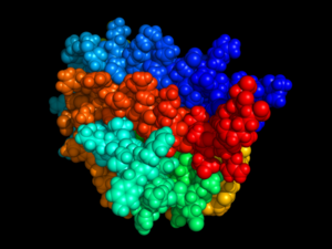 http://upload.wikimedia.org/wikipedia/commons/thumb/a/a1/Erythropoietin.png/300px-Erythropoietin.png