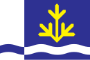 Drapeau de Commune de Toila