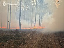 Forest fire in Kharkiv region after shelling Forest in Kharkiv Oblast after Russian shelling, 2024-04-03 (01).jpg
