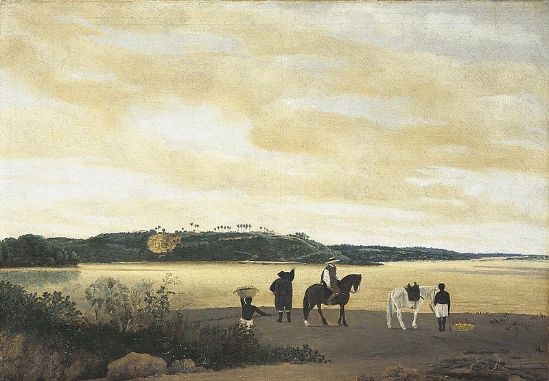 Ficheiro:Frans Post 002.jpg