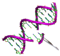 Miniatura para Virus modificado genéticamente