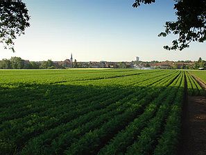 Hatzenbühl Ansicht von Norden.jpg