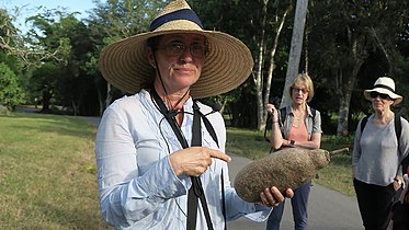 Botanikerin Hilda Rangel Andrade