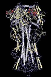 The H in H5N1 stands for "hemagglutinin", as depicted in this molecular model Hemagglutinin molecule.png