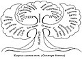 10:01, 26 апрель 2023 -дагы версиясы үчүн кичирейтилген сүрөтү