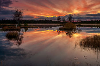 Coucher de soleil sur le lac du Laanemaa, dans la réserve naturelle Orkjärve, en Estonie. (définition réelle 4 593 × 3 062)