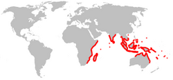 Distribución natural de Lumnitzera