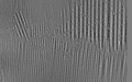 Magnetic domains and domain walls in oriented silicon steel (image made with CMOS-MagView)
