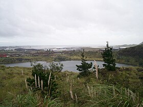 Matukutururu (Wiri Mountain).jpg