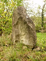 Menhir von Wackernheim