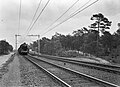 NS 4001 with a train near Hulshorst. (07-06-1951)