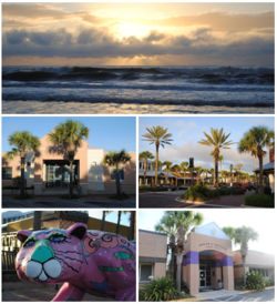Изображения сверху слева направо: восход солнца на пляже, мэрия, центр города на пляже, статуя ягуара в центре города на пляже, средняя школа Дункана У. Флетчера.
