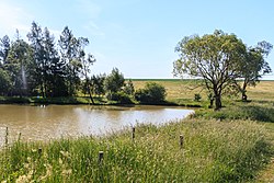 Nový rybník u Poličky