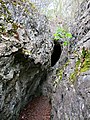 Ogof ger gwaith calch Loggerheads, Rhuthun