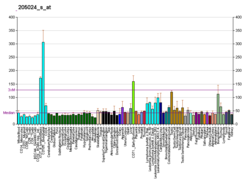 PBB GE RAD51 205024 s at fs.png