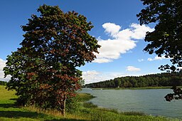 Sjön Pangodi järv i byn Pangodi.