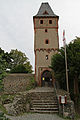 Torturm von Burg Frankenstein