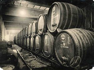 חביות יין ביקב של יקבי כרמל בראשון לציון, בתחילת המאה ה-20.