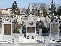 Zbiorowa mogiła powstańców wielkopolskich na Cmentarzu Farnym we Wrześni poświęcona również żołnierzom 68 pułku piechoty
