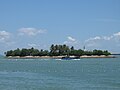 Miniatura para Pulau Palawan