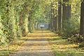 Bike ride in nature on the old tram track in De Kevie, Tongeren Belgium