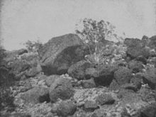 Boulders on a desert hillside.
