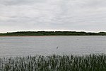 Südufer Ruppiner See