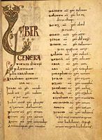 Каралінгская версія астраўнога стылю — параўнайце з «Liber generationis…» вышэй. Старонка Шутэрнскага Евангелля  (англ.) (бел.