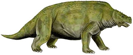 Scutosaurus