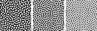 Three examples of Turing patterns TuringPattern.PNG