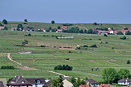 Vignoble Hatschbourg