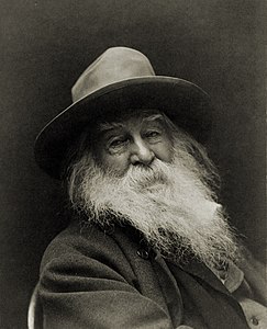 Amerikalı şair Walt Whitman, 1887. Şairin bu portresini çok sevdiği, hatta İngiltere'ye şair Alfred Tennyson'a gönderdiği söylenir. (Üreten: George C. Cox, Yükleyen: Shizhao)