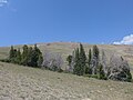 Der Whiskey Mountain in den nordöstlichen Ausläufern der Gebirgskette