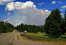 Wildfire in Yellowstone National Park produces a pyrocumulus cloud. Wildfire in Yellowstone NP produces Pyrocumulus cloud.jpg