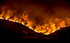 Tree ridge in flames during the Woolsey Fire, California