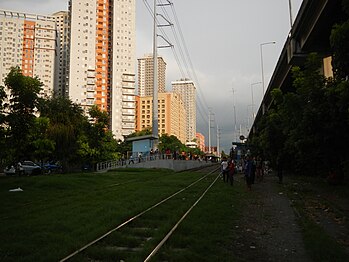 The transmission line near Arnaiz Avenue in Makati