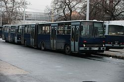 103-as busz a Népligetben