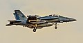 An EA-18G Growler of VAQ-134 landing at Nellis AFB in 2017