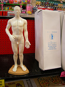 Modern acupuncture model Archie McPhee acupuncture.jpg