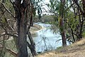 The Darling River fra Bourke Wharf