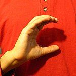 The "C" handshape produced with the the pinky-finger edge of the palm facing the camera