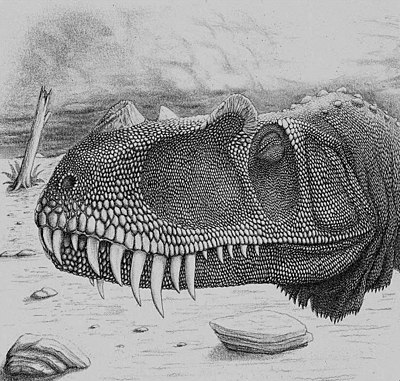 400px-Ceratosaurus_juvenile_face.JPG