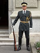 Guard at Government and Presidential palace in Ljubljana