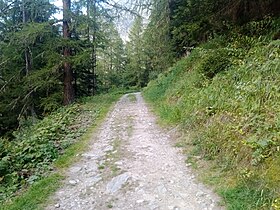 Le chemin Sortie Vallée Blanche.