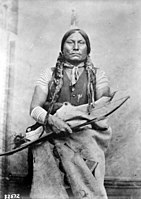 Chief Gall, 1881