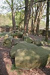 Großsteingrab Darpvenner Steine 1