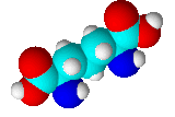 Image illustrative de l’article Acide diaminopimélique