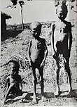The great Vietnamese famine 1944–1945.